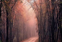 爱游戏APP 皇家社会加时末段强势反弹，志在欧冠名次提升，目标明确，高层口径保持一致