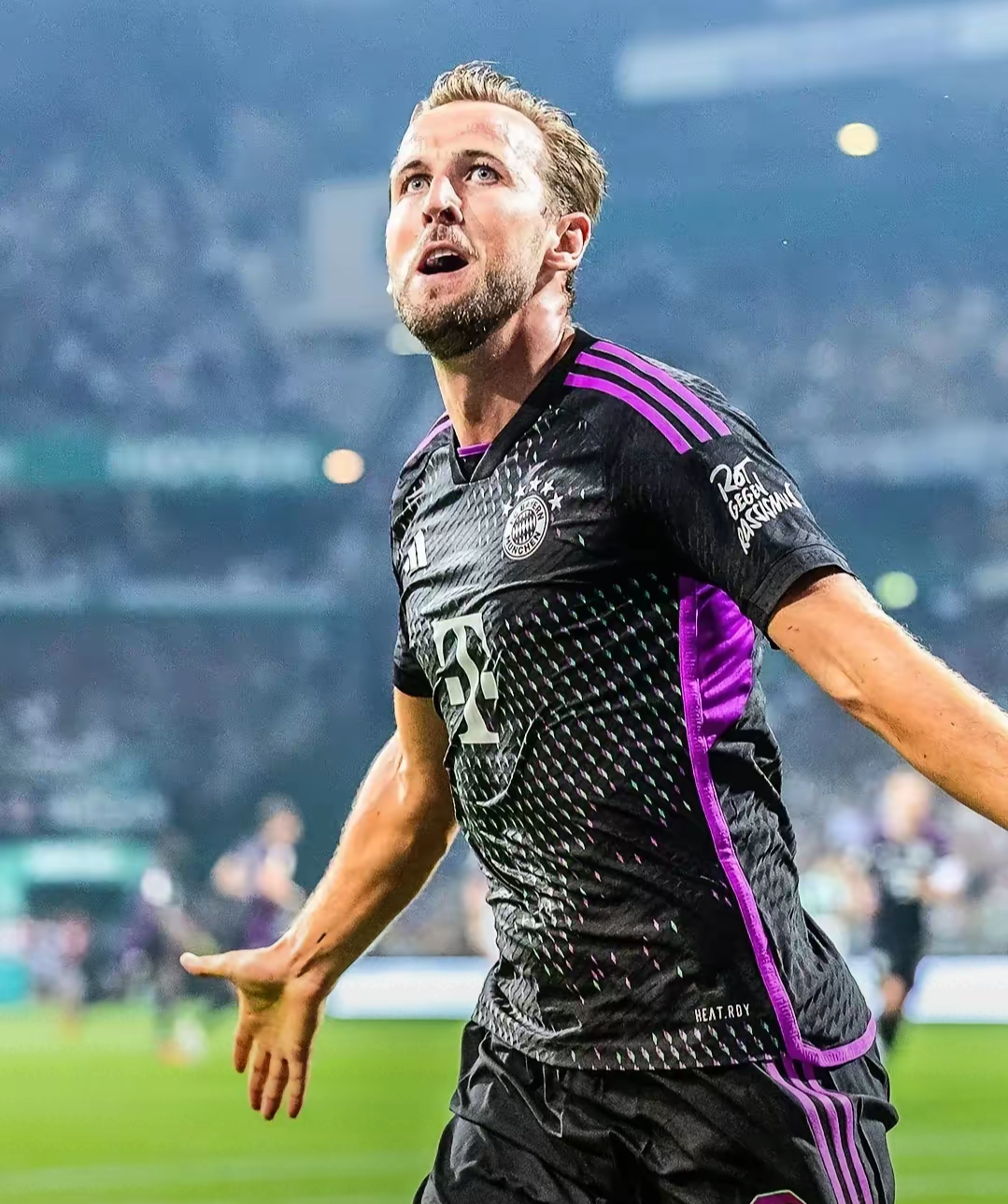 凯恩新星关键助攻表现惊艳,篮网未来可期!的简单介绍 凯恩新星关键助攻表现惊艳,篮网未来可期!的简单介绍